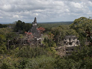 Photo tour of the Mayan Ruins at Tikal - guatemala mayan ruins,guatemala mayan temple,mayan temple pictures,mayan ruins photos